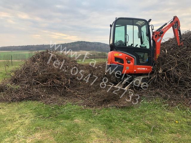 Dachbodenräumung in Bamberg